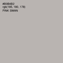 #B9B4B2 - Pink Swan Color Image